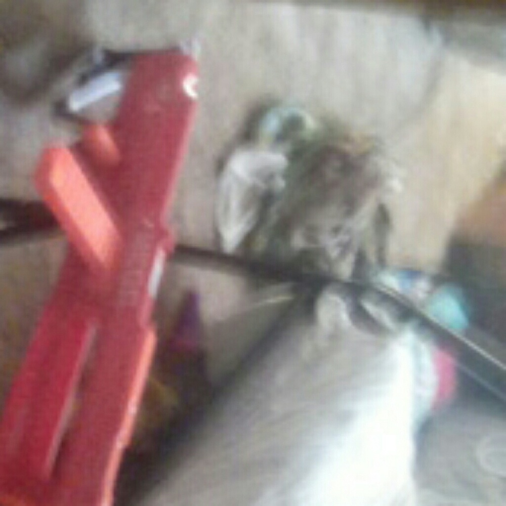 Nerf gun